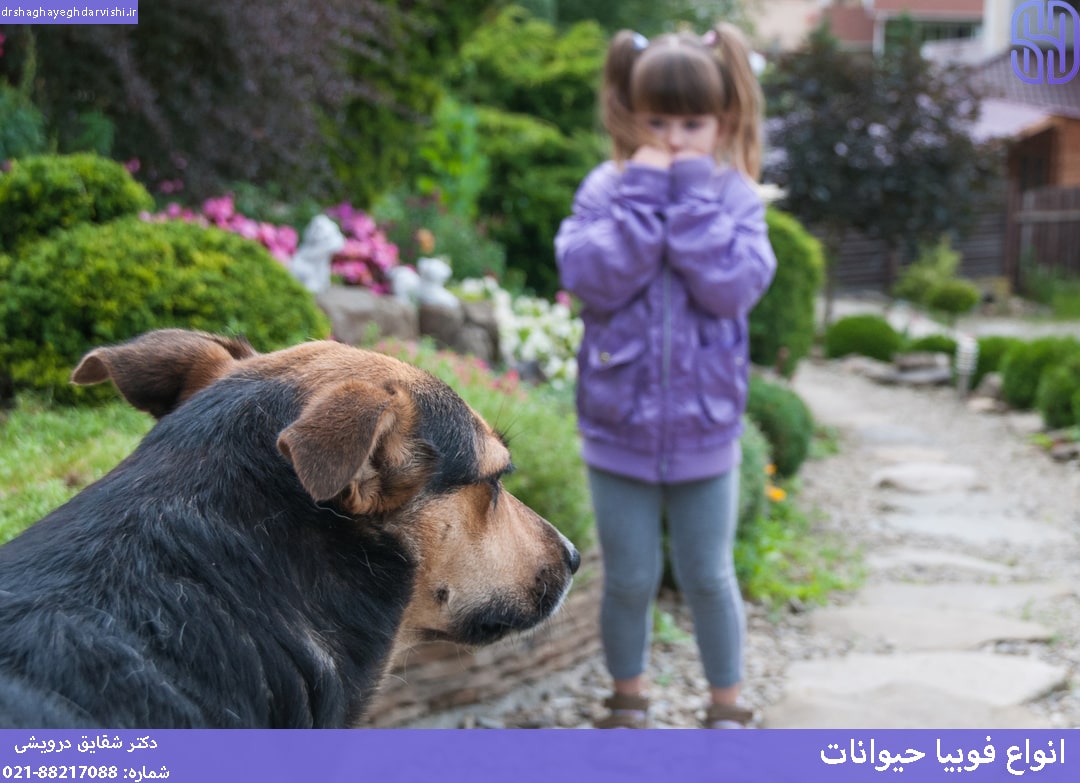 انواع فوبیا حیوانات